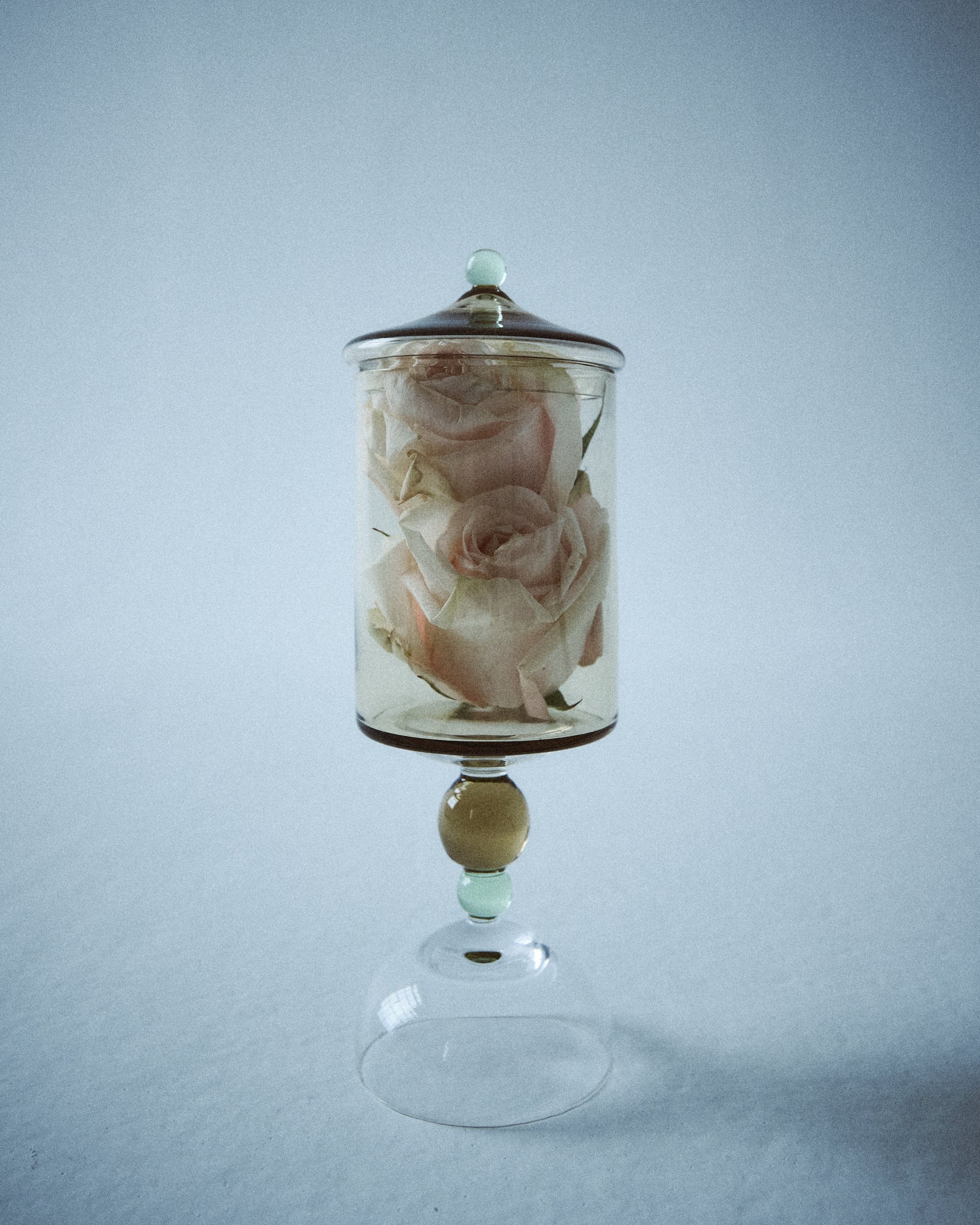 Noam Bonbonniér - Hazel/Jade