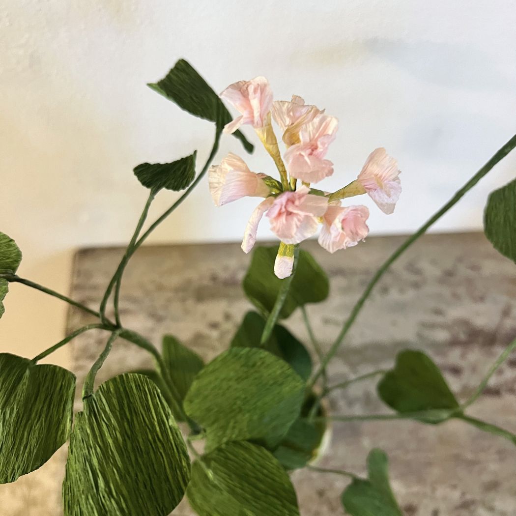Paper Flower - Double Geranium