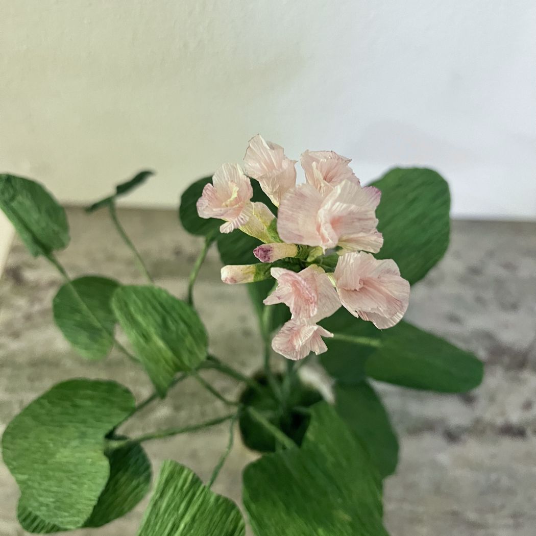 Paper Flower - Single Geranium