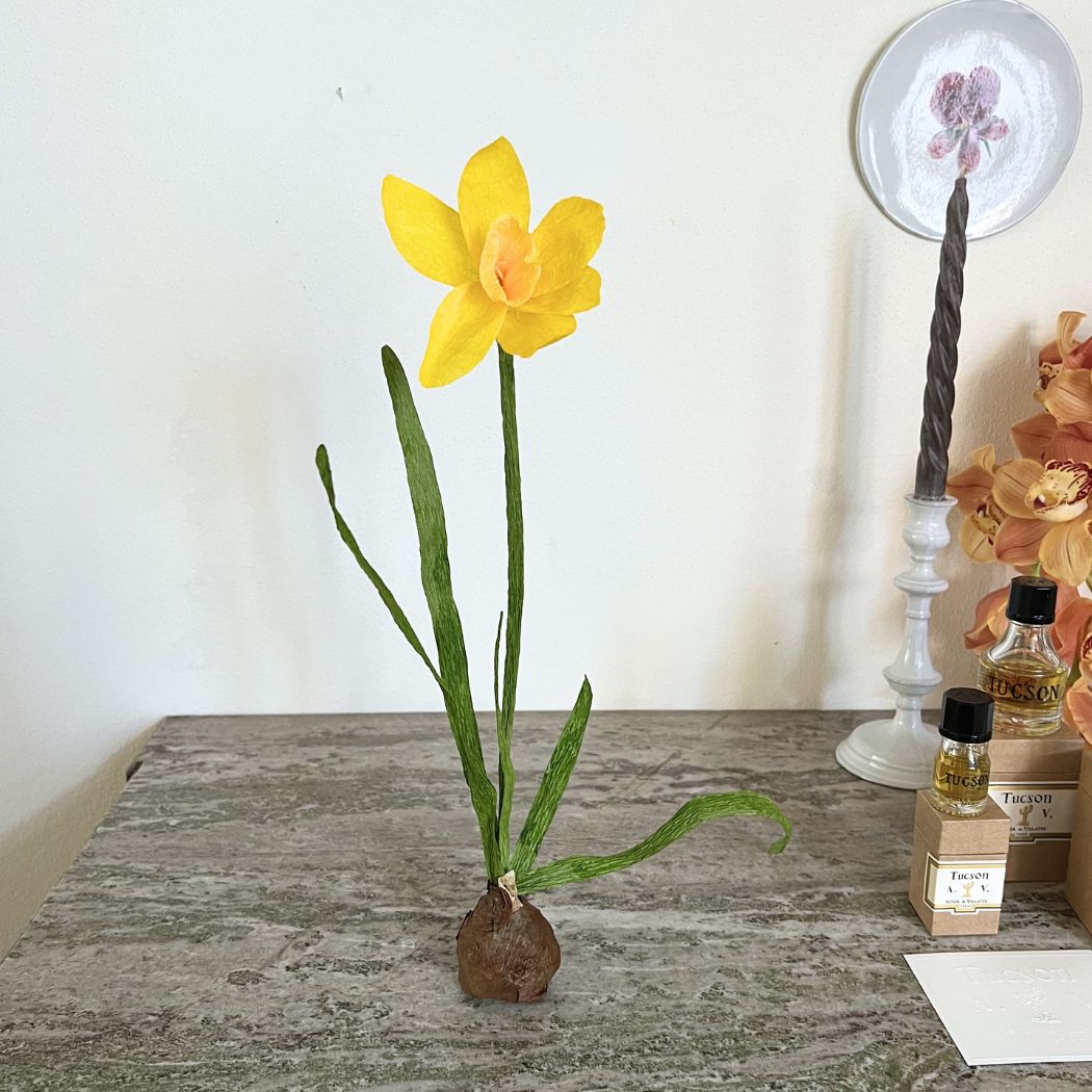 Paper Flower - Single Large Daffodil
