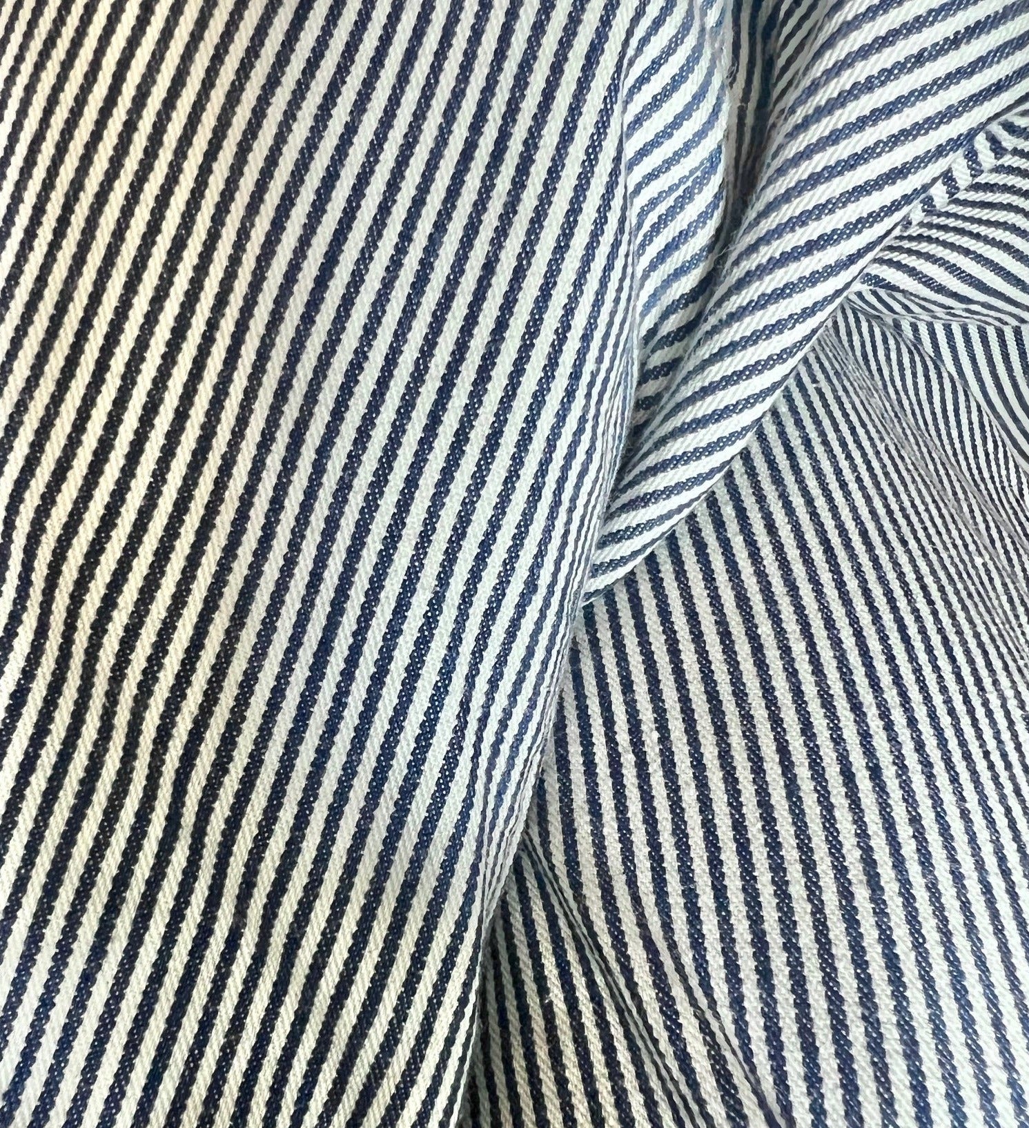 may pants ficus folium