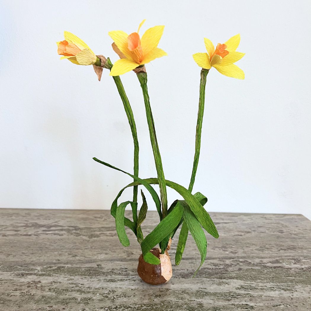 Papirblomt - 3 Påskeliljer i potte