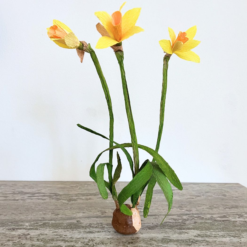 Papirblomt - 3 Påskeliljer i potte