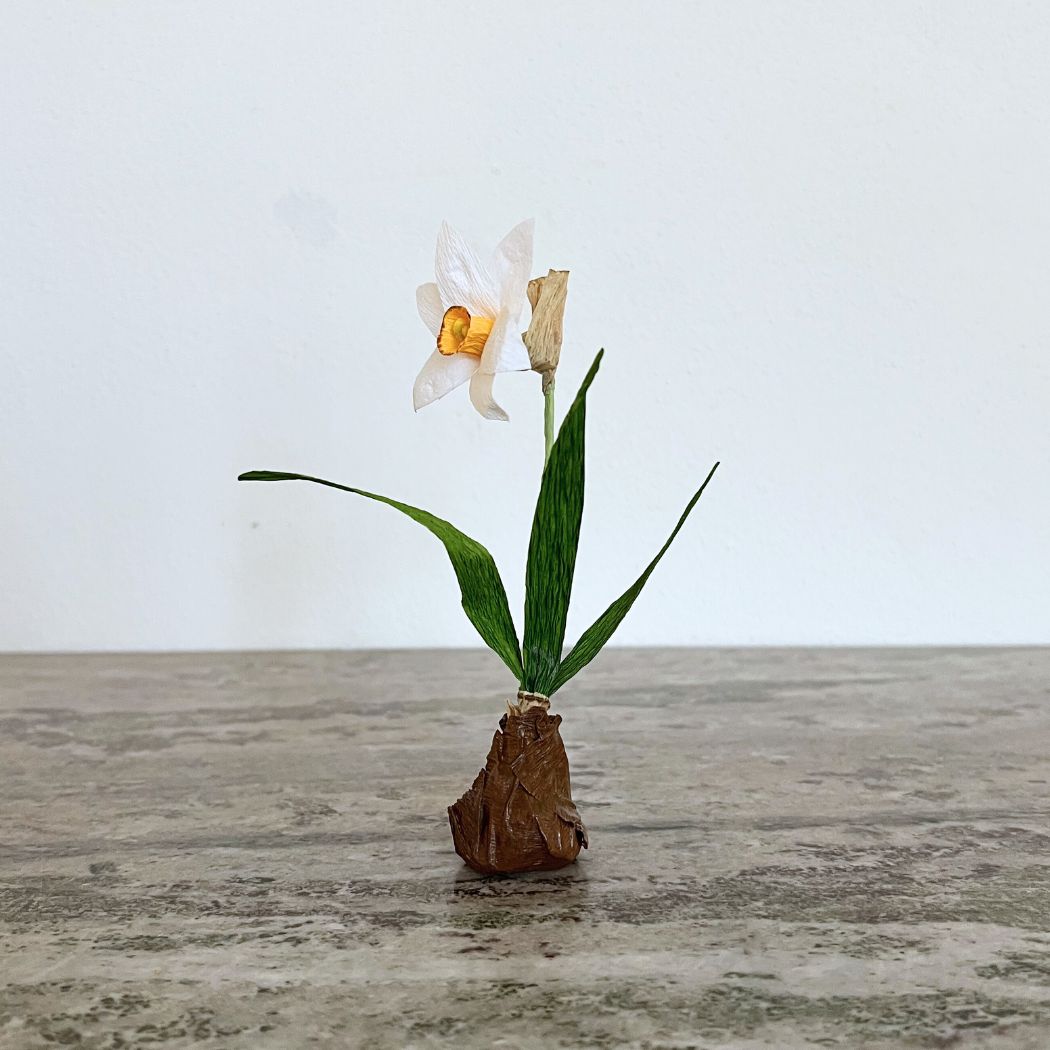 Papirblomt - Enkelt Pinselilje