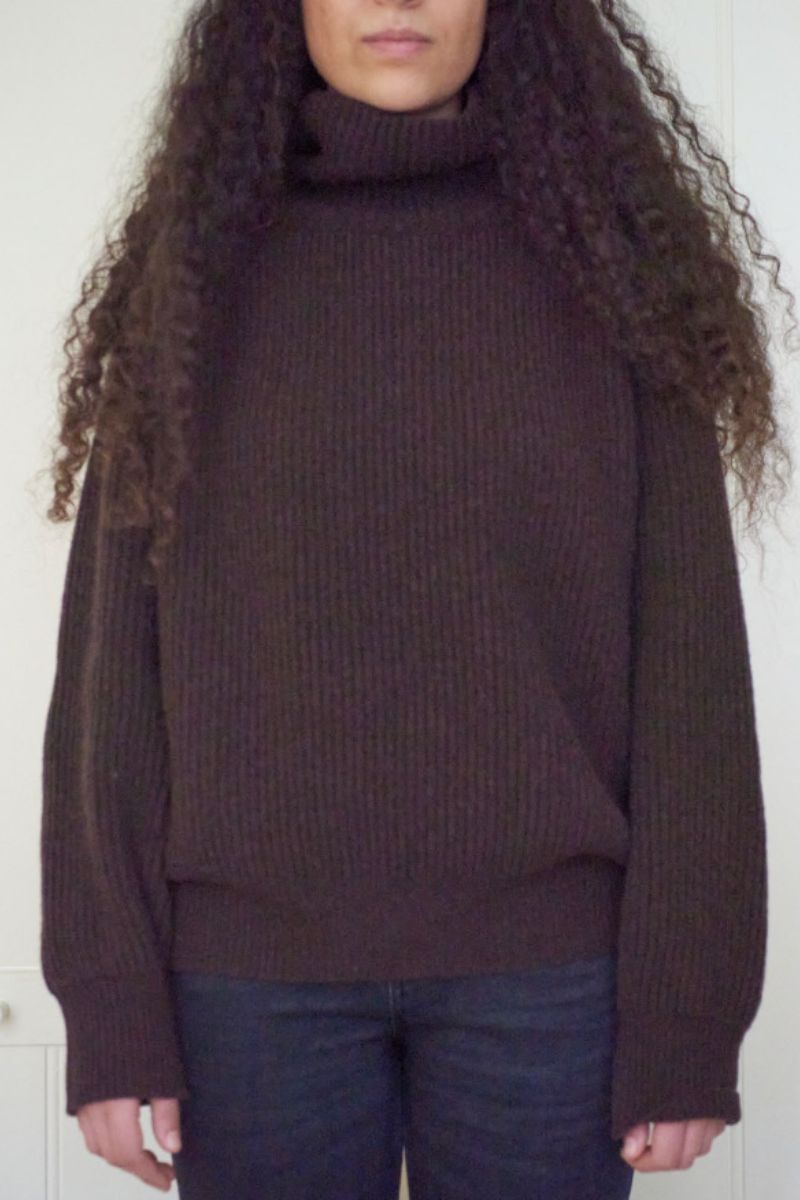 Shetland Wool Turtleneck - Brown