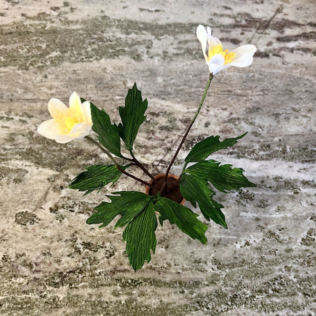 Paper flower - Double Anemone