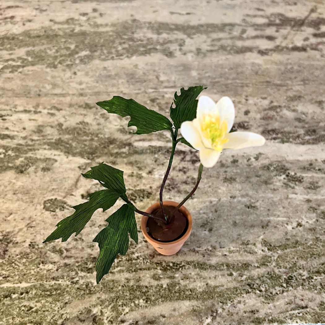 Paper flower - Single Mini Anemone