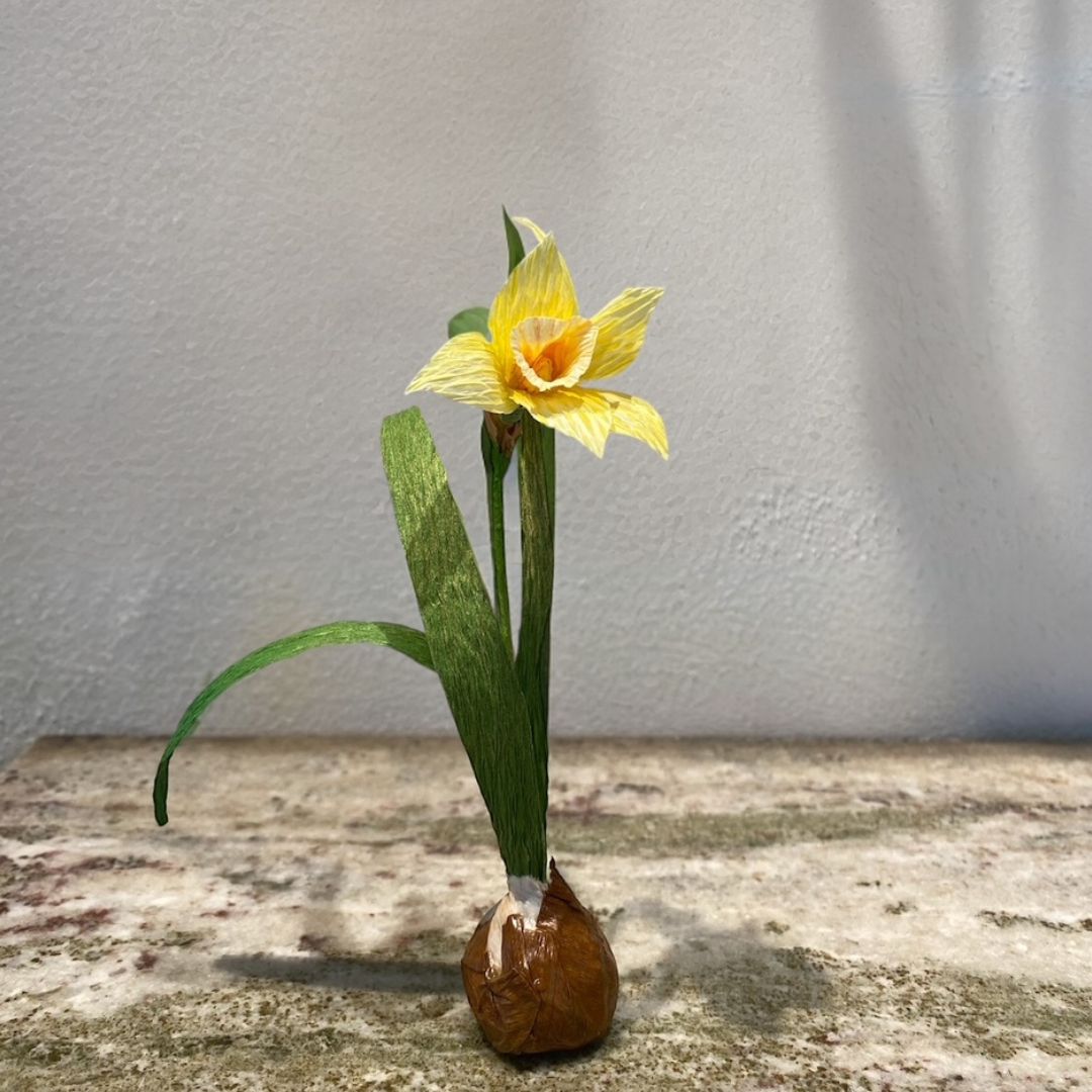 Papirblomt - Single Påskelilje
