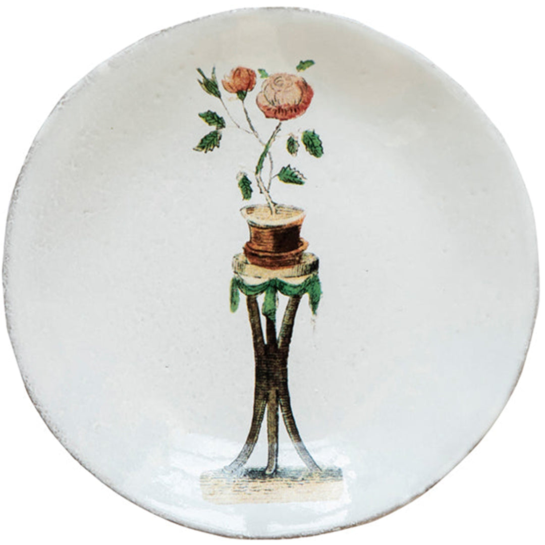 John Derian Rosebush Tallerken