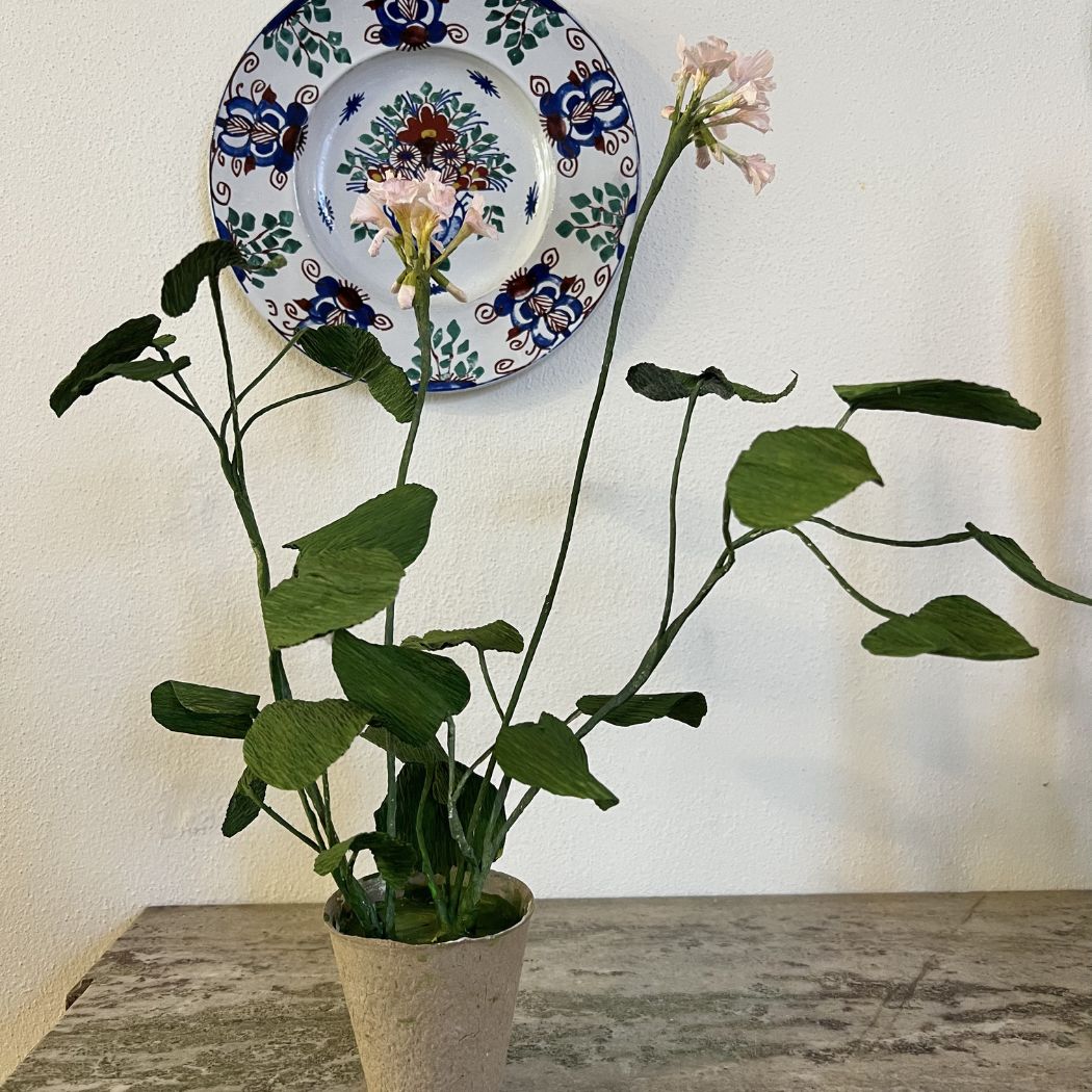 Paper Flower - Double Geranium