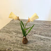 Paper flower - Double Hoop-Petticoat Daffodils