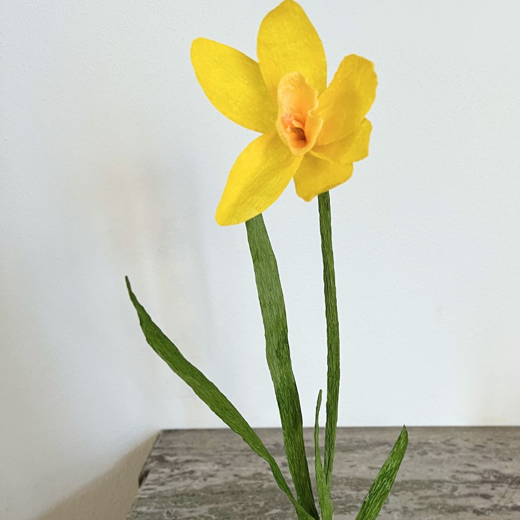 Paper Flower - Single Large Daffodil