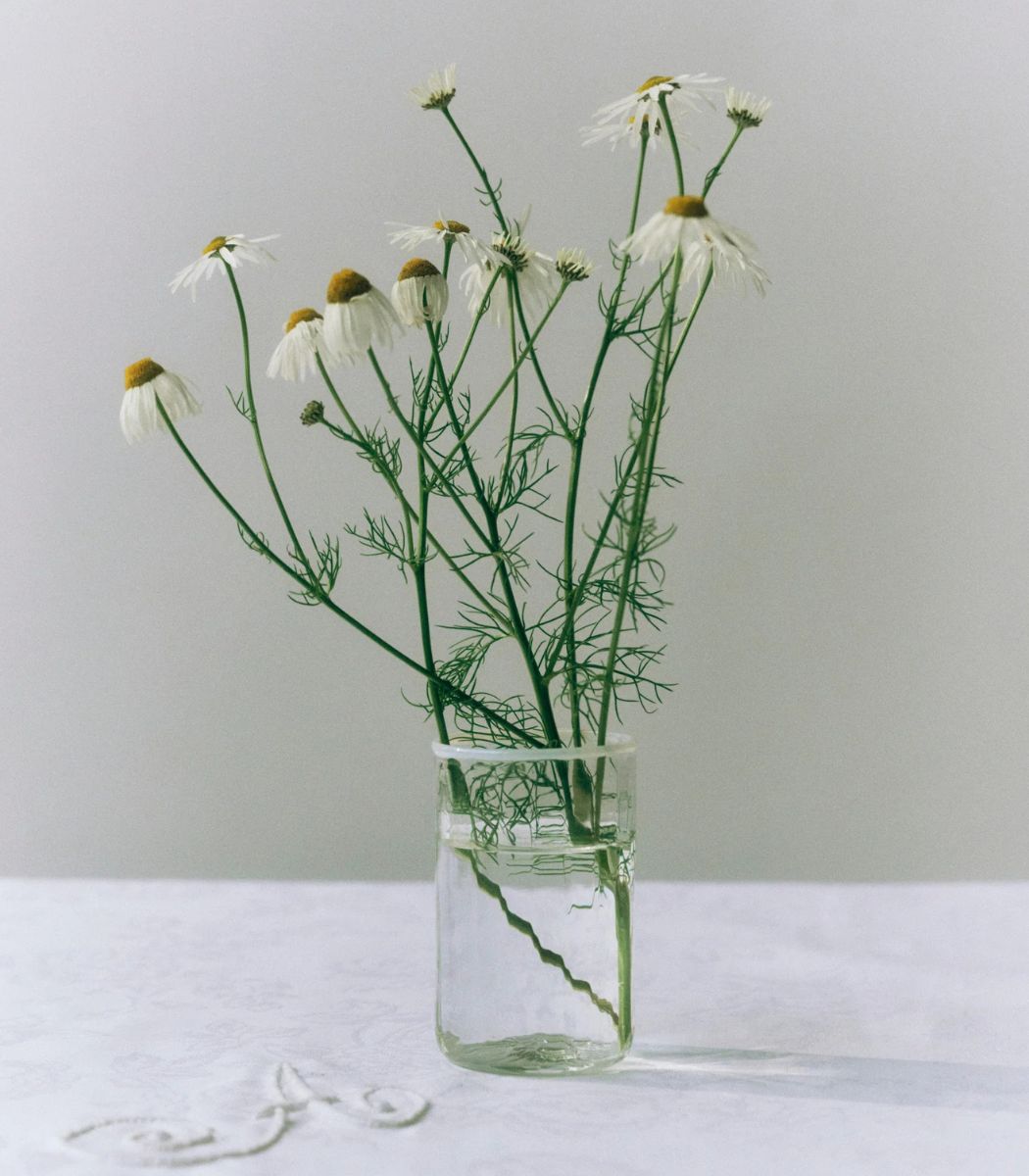 Peter Glass Small - White