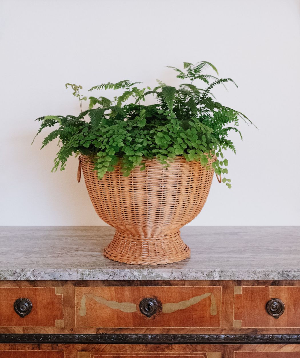 Pot Vase